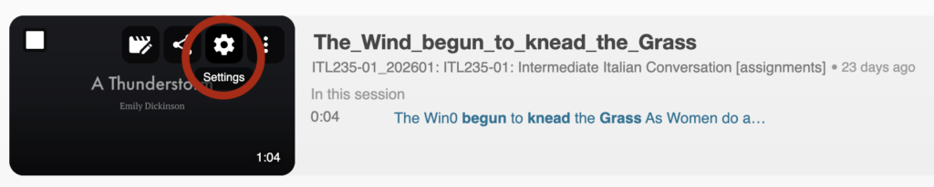 screenshot of uplaoded podcast to Panopto with Settings icon identified